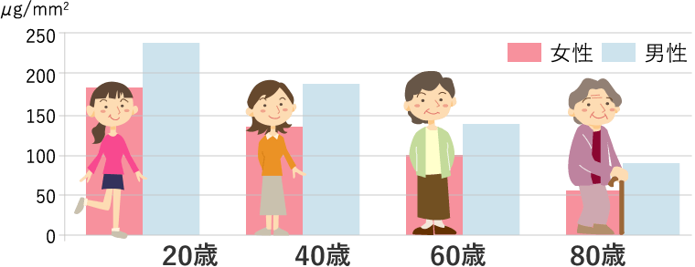 皮膚コラーゲン量の変化